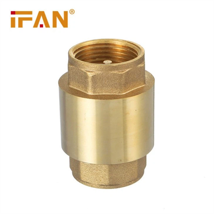 Brass Spring Check Valve