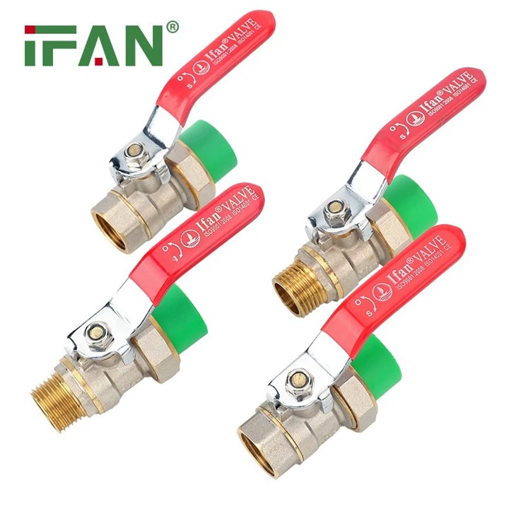 PPR Brass Core Insert Valve